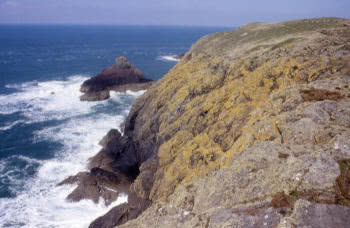 splash zone on Skomer Island
